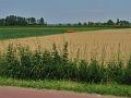 4de Pinksteroldtimerrit (122)